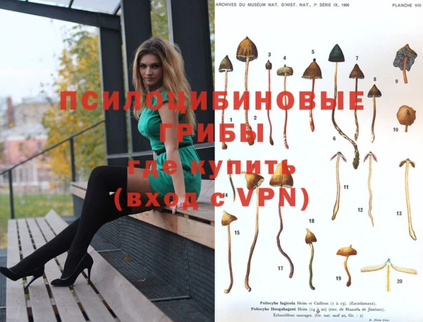 мдпв Абинск