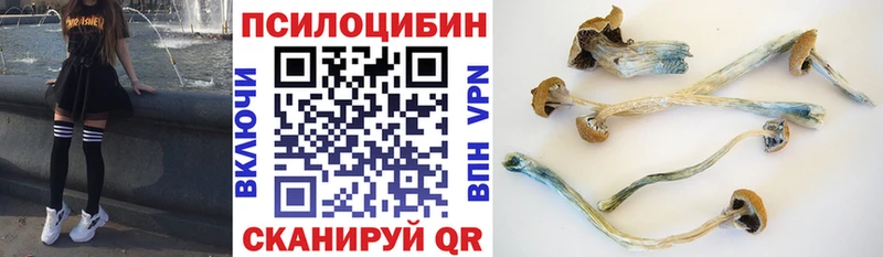 hydra ТОР  Донецк  Псилоцибиновые грибы MAGIC MUSHROOMS 