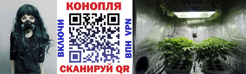 Канабис индика  Донецк 